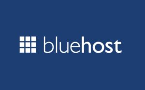 Read more about the article BlueHost-is it worth getting?